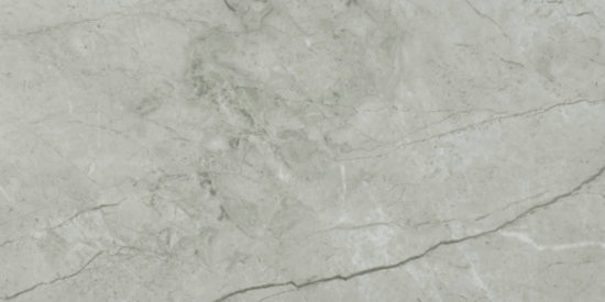 Roma Argento Honed 12X24 | Marino Tile NY