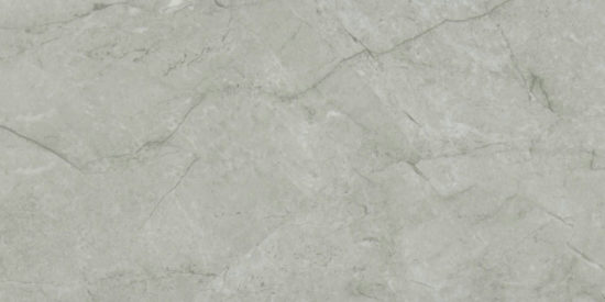 Roma Argento Honed 24X48 | Marino Tile NY