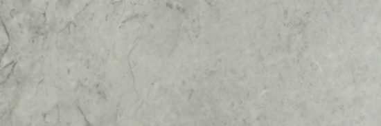 Roma Argento Honed 4X12 | Marino Tile NY