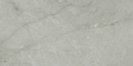 Roma Argento Polished 12X24 | Marino Tile NY
