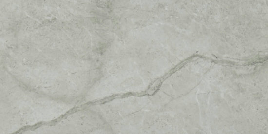 Roma Argento Polished 12X24 | Marino Tile NY