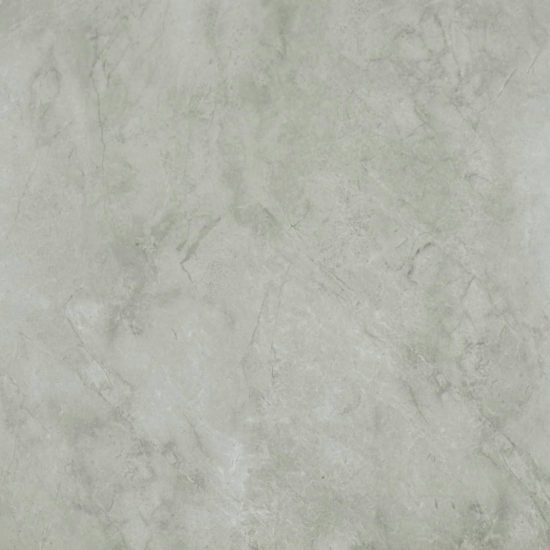 Roma Argento Polished 24X24 | Marino Tile NY