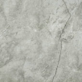 Roma Argento Polished 24X24 | Marino Tile NY