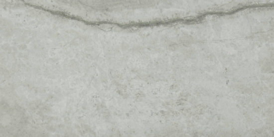 Roma Argento Polished 24X48 | Marino Tile NY