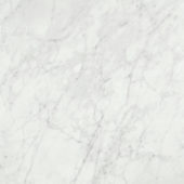 San Giulio Gioia Polished 24X24 | Marino Tile NY