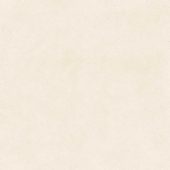 Serene Ivory 24x24 | Marino Tile NY