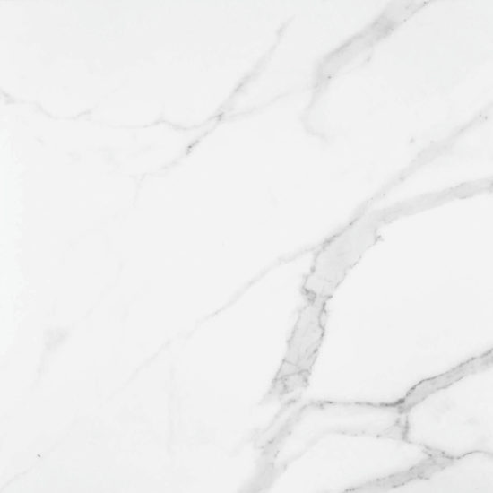 Statuario Venezia Honed 24X24 | Marino Tile NY