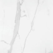 Statuario Venezia Honed 24X24 | Marino Tile NY