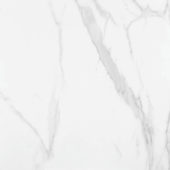 Statuario Venezia Honed 24X24 | Marino Tile NY