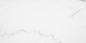 Statuario Venezia Polished 12X24 | Marino Tile NY