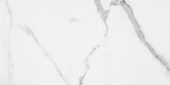 Statuario Venezia Polished 24X48 | Marino Tile NY