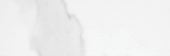 Statuario Venezia Polished 4X12 | Marino Tile NY