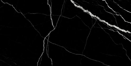Treasure Midnight Nero 24x48 Polished | Marino Tile NY
