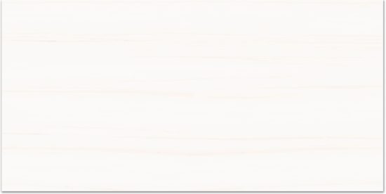 Treasure Ultimate Dolomite 12x24 Matte | Marino Tile NY