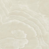 Lustra 48x48 Onyx Crema Honed | World Tile Company