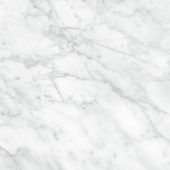 Plata 24x24 Carrara Abisso Polished | World Tile Company