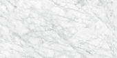 Plata 24x48 Carrara Abisso Matte | World Tile Company