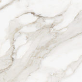 Royal Stoneworks 24X24 Calacatta Royale Honed | World Tile Company
