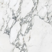 Royal Stoneworks 24X24 Italian Arabescato Polished | World Tile Company