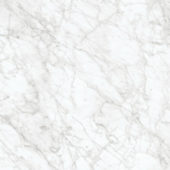 Royal Stoneworks 24X24 Old World Bianco Honed | World Tile Company