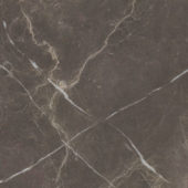 Royal Stoneworks 24X24 Regal Brown Marble Vintage | World Tile Company