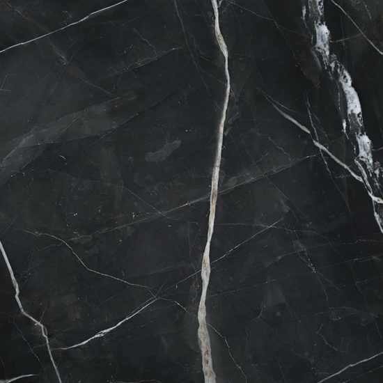 Royal Stoneworks 36X36 Regal Black Vein Honed | World Tile Company