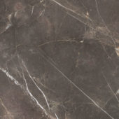 Royal Stoneworks 36X36 Regal Brown Marble Polished | World Tile Company