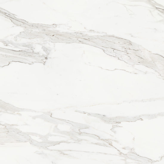 Royal Stoneworks 48X48 Crown Calacatta Honed | World Tile Company