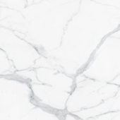 Royal Stoneworks 48X48 Grandvein White Honed | World Tile Company