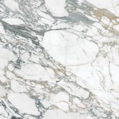Royal Stoneworks 48X48 Italian Arabescato Polished | World Tile Company