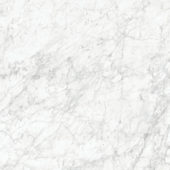 Royal Stoneworks 48X48 Old World Bianco Polished | World Tile Company