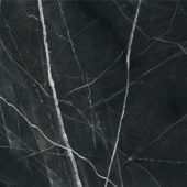 Royal Stoneworks 48X48 Regal Black Vein Honed | World Tile Company