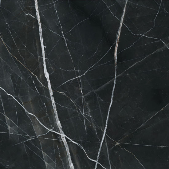 Royal Stoneworks 48X48 Regal Black Vein Polished | World Tile Company