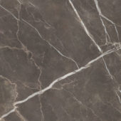 Royal Stoneworks 48X48 Regal Brown Marble Polished | World Tile Company