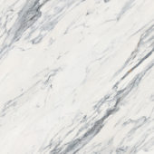 Royal Stoneworks 48X48 Regal White Vein Honed | World Tile Company