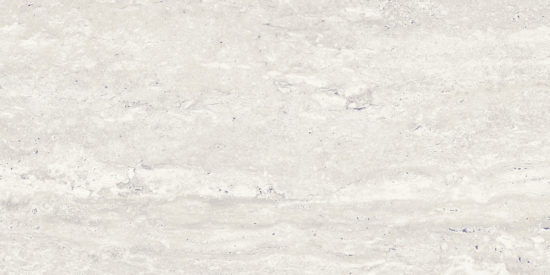 Saturnia 12x24 Roman Matte | World Tile Company
