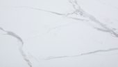 Carrara Marble Wall Tile 25x15 | World Tile Company